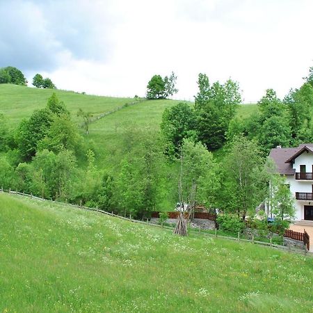 La Craita Bran (Brasov) Exterior foto