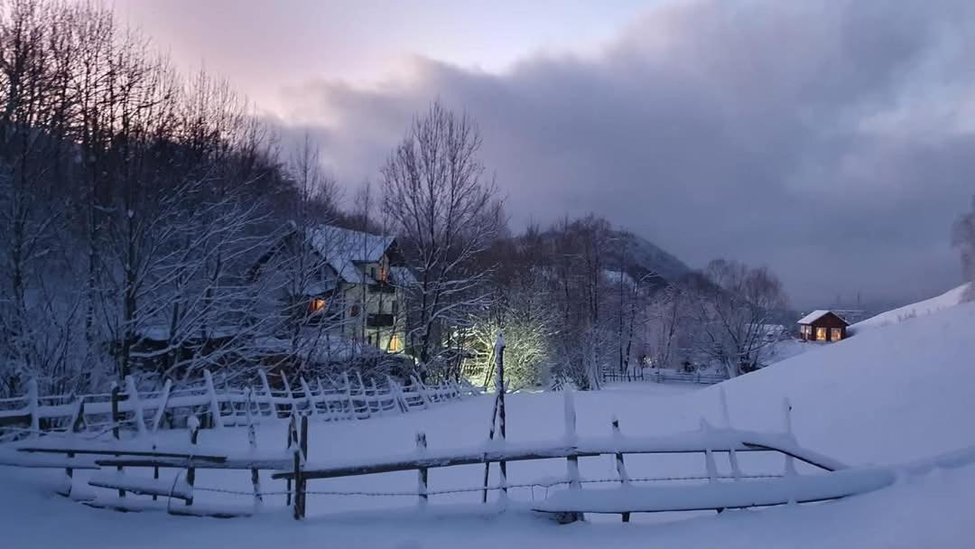 La Craita Bran (Brasov) Exterior foto